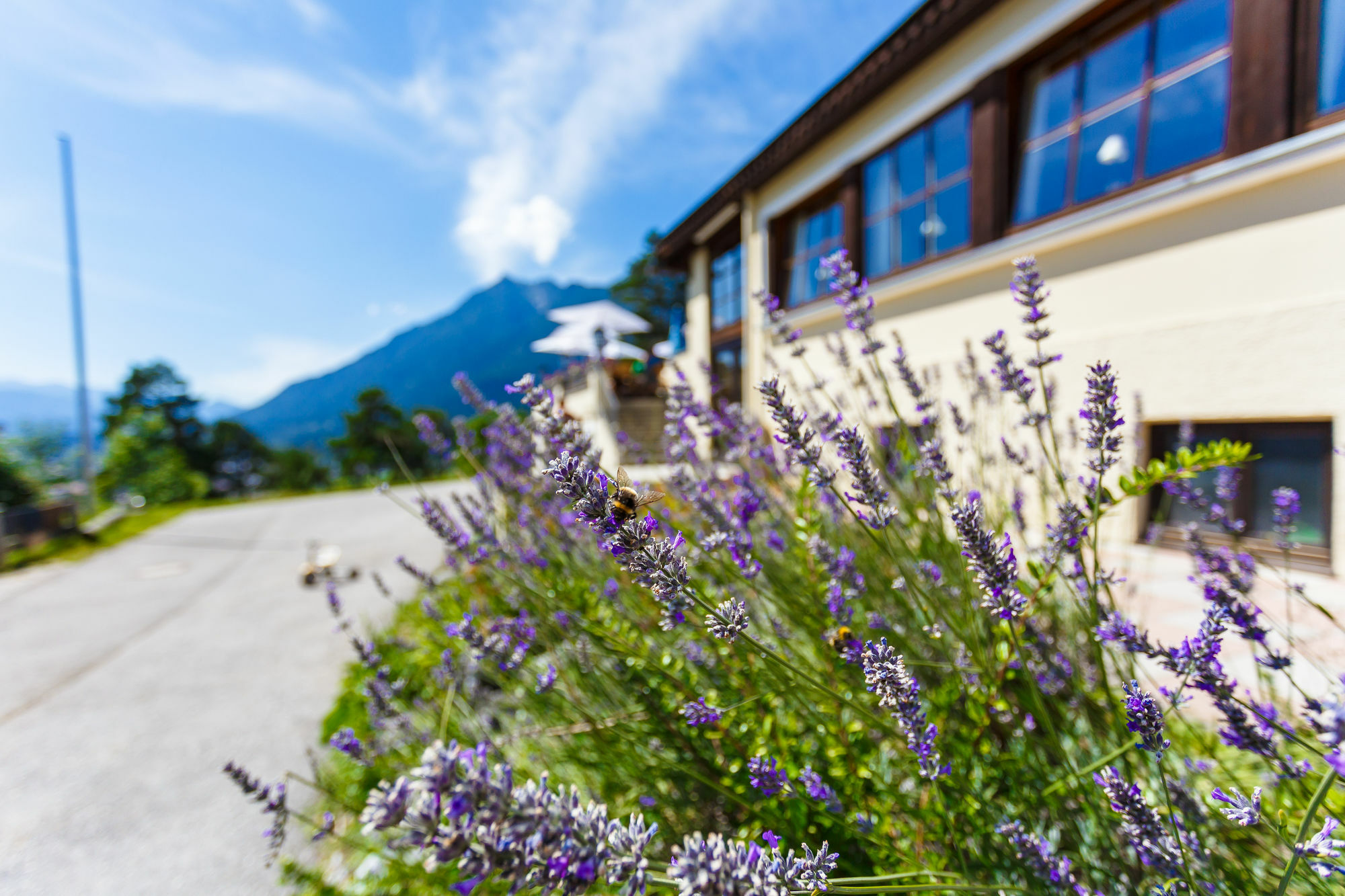 Landkomforthotel Panorama & Restaurant Bella Vista 가르미슈파르텐키르헨 외부 사진